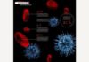 Medical infographic : Medical infographic : Blood Cell infographic. Medical Infographic. $5.00