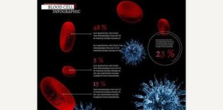 Medical infographic : Medical infographic : Blood Cell infographic. Medical Infographic. $5.00
