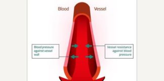 Medical infographic : Medical infographic : Blood Vector Image. Medical Infographic. $3.00