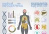 Medical infographic : Medical infographic : Free Images for Infographic for Human Body Organs Recommended Health Infograpics