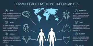 Medical infographic : Medical infographic : Human body health care infographics. Medical Infographic. $4.00