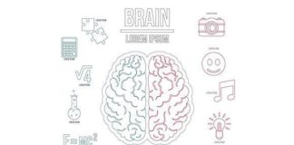Medical infographic : Medical infographic : Human brain infographics set. Medical Infographic. $5.00