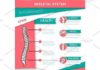 Medical infographic : Medical infographic : Human skeletal system infographics design. Medical Infographic