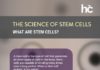 Medical infographic : Medical infographic : Infographic: The Science of Stem Cells – More Conditions