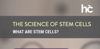 Medical infographic : Medical infographic : Infographic: The Science of Stem Cells – More Conditions