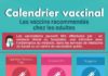 Medical infographic : Medical infographic : Infographie : le calendrier vaccinal des adultes