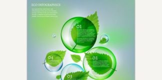 Medical infographic : Medical infographic : Leaves Bubble Infographics . Brochure Infographic. $3.00