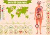 Medical infographic : Medical infographic : Medical anatomy women – infographics. Medical Infographic. $5.00