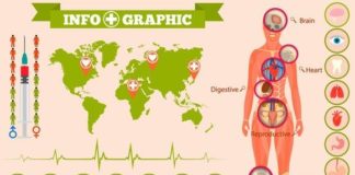 Medical infographic : Medical infographic : Medical anatomy women – infographics. Medical Infographic. $5.00