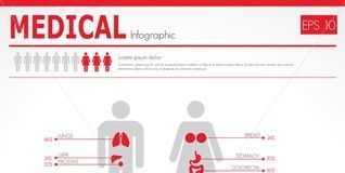 Medical infographic : Medical infographic : Medical infographic : stock vector : Medical infographics. Human body with inter…