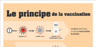 Medical infographic : Medical infographic : Réponse à une maman antivax