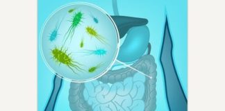 Medical infographic : Medical infographic : Vector Bacteria Flora. Medical Infographic. $3.00