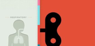 Medical infographic : Medical infographic : so amazing work from kellianderson / old transparency biology books