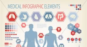 Medical infographic : Medical infographics elements. human body with internal organs. vector. Stock Il…