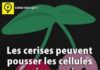 Medical infographic : Saviez Vous Que? | Tous les jours, découvrez de nouvelles infos pour briller en…