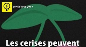 Medical infographic : Saviez Vous Que? | Tous les jours, découvrez de nouvelles infos pour briller en…