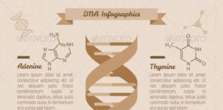 Medical infographic : Vintage Medical Infographics – Health/Medicine Conceptual
