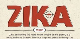 Medical infographic : Zika virus is spread to people through mosquito bites. VisualBest outlines the c…