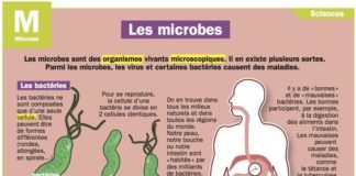 Medical infographic : les microbes
