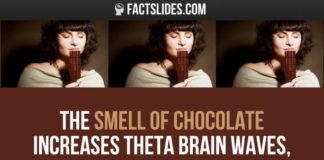 Psychology : 41 Facts about The Brain ←FACTSlides→ The smell of chocolate increases theta…