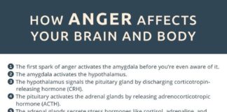 Psychology : CBD For Anger Issues