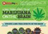 Psychology : Effects of marijuana on the brain (INFOGRAPHIC)