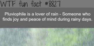 Psychology : FACTS!,FACTS!,FACTS!