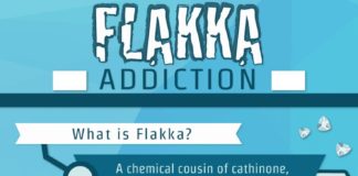 Psychology : Flakka Addiction Infographic
