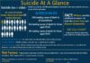 Psychology : Get the facts on suicide with the updated “Suicide at a Glance” infographic.