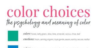 Psychology : How to Properly Choose the Perfect Brand Colors for Your Business