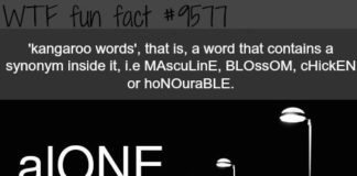 Psychology : Interesting WTF Fun Facts