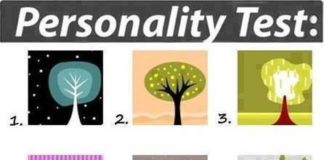 Psychology : Look at the tree and choose the one that is immediately most appealing to you. D…