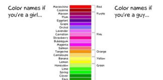Psychology : Psychology : Color names according to the sexes…