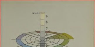 Psychology : Psychology : Color wheel found in “A Grammar of Color” 1921