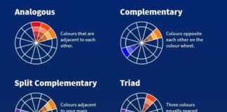 Psychology : Psychology : Infographic: How To Choose Colors That Go Well Together – DesignTAXI.com