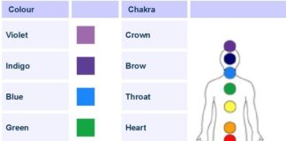 Psychology : Psychology : Psychology : L. Designs Color Theory: Chakras and Color Theory/Therapy Images