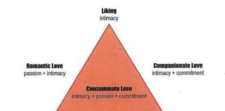 Psychology : Psychology : Psychology : Psychology : Psychology infographic and charts it turns me on Infographic