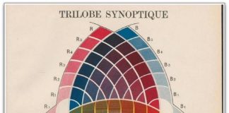 Psychology : Psychology : Trilobe Synoptique – Color Chart
