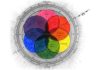 Psychology : Recalling Color Theory Keywords: a way to refresh your memories!