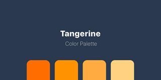 Psychology : So warm inside tonight 🧡#design #ui #colors #colorpalette #colorscheme #ux