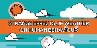 Psychology : The Strange Effects of Weather on Human Behaviour #Infographic
