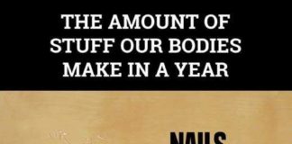 Psychology : The amount of stuff our bodies make in a year