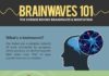 Psychology : brainwaves 101