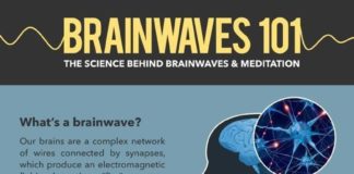 Psychology : brainwaves 101