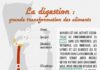 Science infographic – 10 aliments excellents pour la digestion