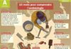 Science infographic – 10 mots pour comprendre l'archeologie
