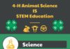 Science infographic – 4-H Animal Science IS STEM Education Infographic created by the California 4-H A…
