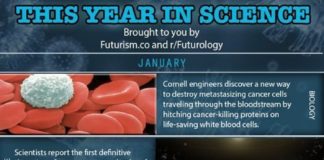Science infographic – 48 Of The The Most Important Scientific Discoveries Of 2014