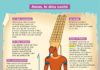 Science infographic – Amon, le dieu caché