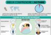 Science infographic – Asthme : causes, symptômes & traitements | Creapharma